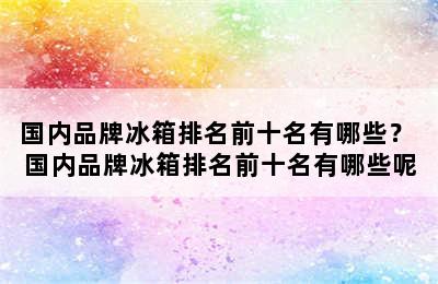 国内品牌冰箱排名前十名有哪些？ 国内品牌冰箱排名前十名有哪些呢